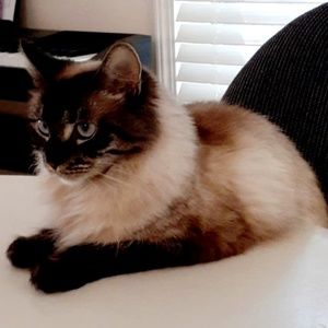 Meet your Posher, Vivien